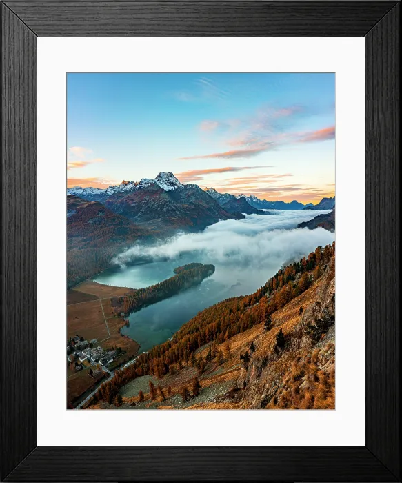 Framed Print : Autumn larch woods, Sils, Engadine, Maloja Region, Graubunden, Switzerland Framed Print : Autumn larch woods, Sils, Engadine, Maloja Region, Graubunden, Switzerland