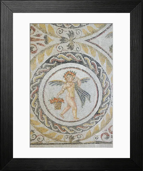Framed Print : Mosaic at the Archaeological Museum, El Jem, Tunisia Framed Print : Mosaic at the Archaeological Museum, El Jem, Tunisia
