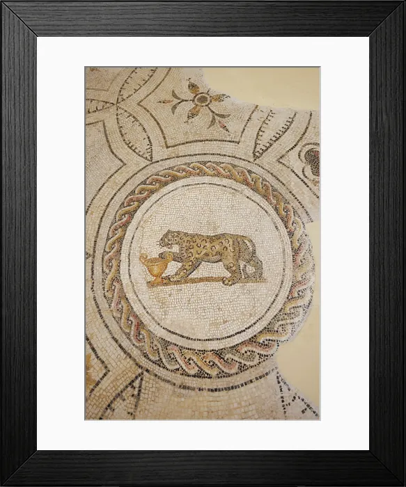 Framed Print : Mosaic at the Archaeological Museum, El Jem, Tunisia Framed Print : Mosaic at the Archaeological Museum, El Jem, Tunisia