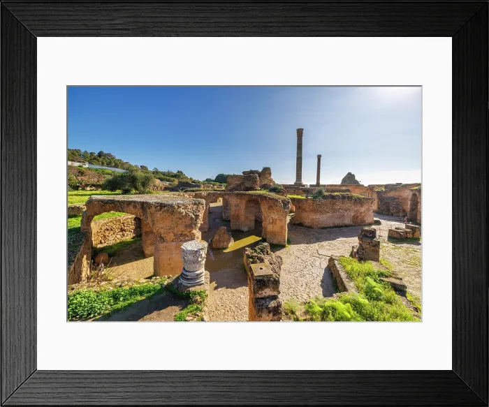 Framed Print : Antonina Baths, Carthage, Tunisia, Africa