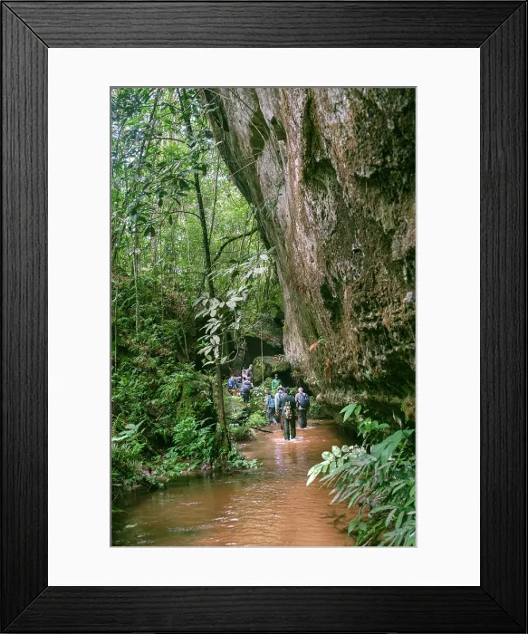 Framed Print : Americas, South America, Brazil, Amazonas, Brazilian Amazon, Presidente Figueiredo