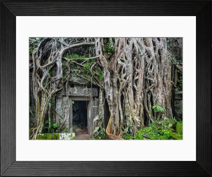 Framed Print : Asia, Cambodia, Siem Reap, Angkor, Ta Prohm temple builts in the late 12th and early 13th centuries and originally called Rajavihara Framed Print : Asia, Cambodia, Siem Reap, Angkor, Ta Prohm temple builts in the late 12th and early 13th centuries and originally called Rajavihara