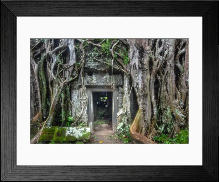 Framed Print : Asia, Cambodia, Siem Reap, Angkor, Ta Prohm temple builts in the late 12th and early 13th centuries and originally called Rajavihara Framed Print : Asia, Cambodia, Siem Reap, Angkor, Ta Prohm temple builts in the late 12th and early 13th centuries and originally called Rajavihara