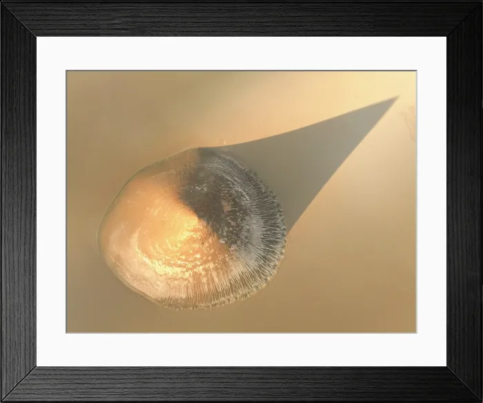 Framed Print : Aerial view of the Arita Cone (Cono de Arita) at sunrise in the Arizaro Salt Flat, Puna de Atacama, Salta, Argentina Framed Print : Aerial view of the Arita Cone (Cono de Arita) at sunrise in the Arizaro Salt Flat, Puna de Atacama, Salta, Argentina