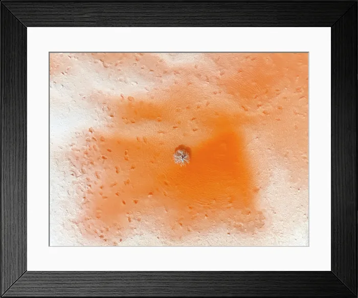 Framed Print : Aerial view detail of a lone plant in a red lagoon of the Antofalla Salt Flat (Salar de Antofalla), Puna de Atacama, Catamarca, Argentina Framed Print : Aerial view detail of a lone plant in a red lagoon of the Antofalla Salt Flat (Salar de Antofalla), Puna de Atacama, Catamarca, Argentina