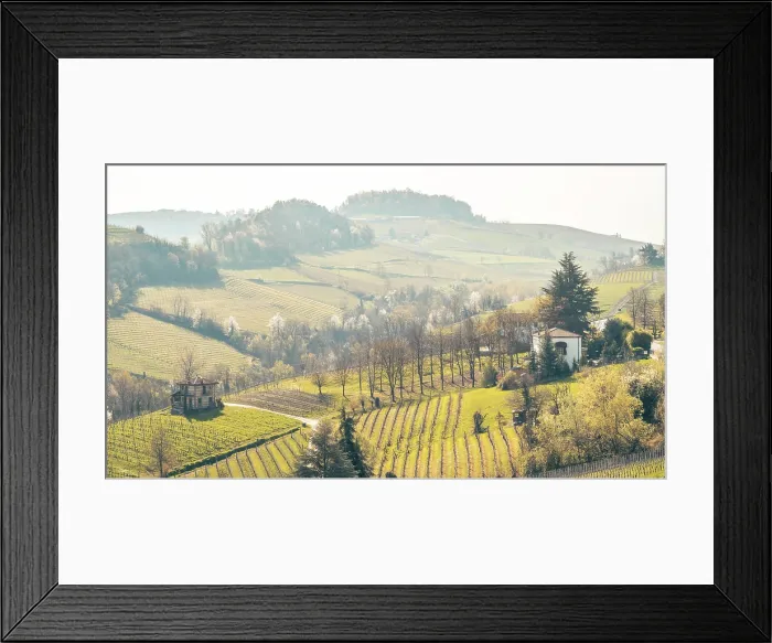 Framed Print : Europe, Italy, Piedmont. The rolling hills near to the famous wine town Barolo with its vineyards in springtime Framed Print : Europe, Italy, Piedmont. The rolling hills near to the famous wine town Barolo with its vineyards in springtime