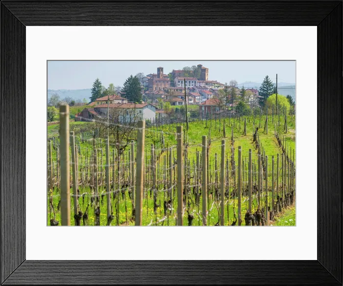 Framed Print : Europe, Italy, Piedmont. The village of Roddi, famous for its castle and the university for truffle hunting dogs, and the wine
