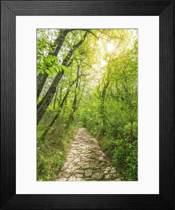 Framed Print : Europe, Italy, Tuscany. Bagno a Ripoli. The ancient roman road near to Bigallo Framed Print : Europe, Italy, Tuscany. Bagno a Ripoli. The ancient roman road near to Bigallo