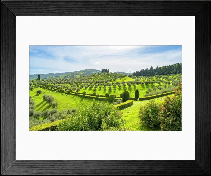 Framed Print : Europe, Italy, Tuscany. Florence area. Torre a Cona wine estate, gardens and olive groves Framed Print : Europe, Italy, Tuscany. Florence area. Torre a Cona wine estate, gardens and olive groves