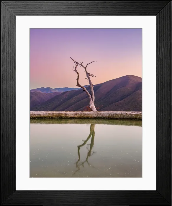 Framed Print : Lone Tree by the pool, Hierve el Agua, dusk, San Lorenzo Albarradas, Oaxaca State, Mexico Framed Print : Lone Tree by the pool, Hierve el Agua, dusk, San Lorenzo Albarradas, Oaxaca State, Mexico