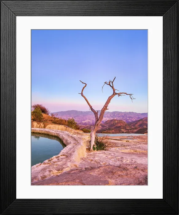 Framed Print : Lone Tree by the pool, Hierve el Agua, dusk, San Lorenzo Albarradas, Oaxaca State, Mexico Framed Print : Lone Tree by the pool, Hierve el Agua, dusk, San Lorenzo Albarradas, Oaxaca State, Mexico