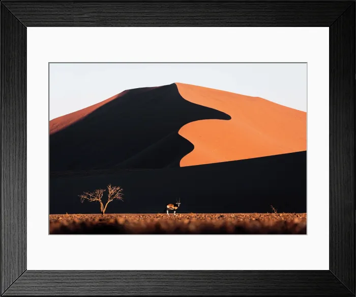 Framed Print : Lonely oryx walking in Sossusvlei at sunset, Namibia Framed Print : Lonely oryx walking in Sossusvlei at sunset, Namibia