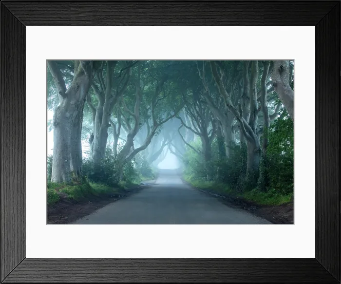 Framed Print : The Dark Hedges, Ballymoney, Northern Ireland, UK Framed Print : The Dark Hedges, Ballymoney, Northern Ireland, UK