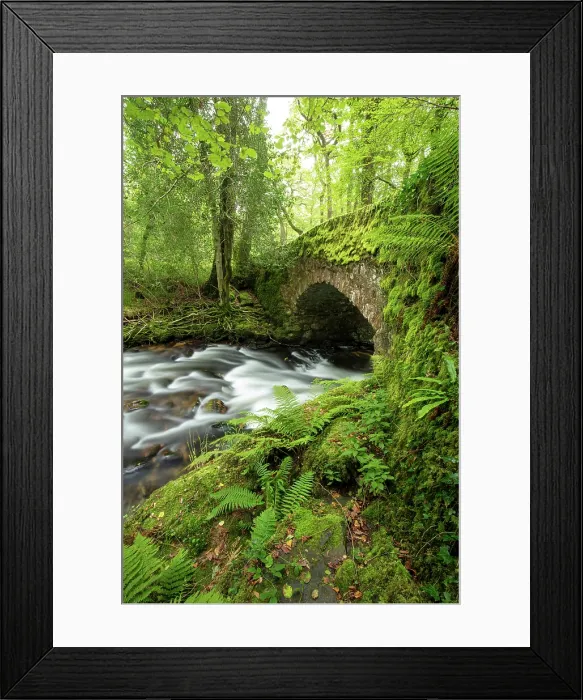 Framed Print : River Webburn and Buckland Bridge, near Buckland-in-the-Moor, Dartmoor National Park, Devon, England Framed Print : River Webburn and Buckland Bridge, near Buckland-in-the-Moor, Dartmoor National Park, Devon, England
