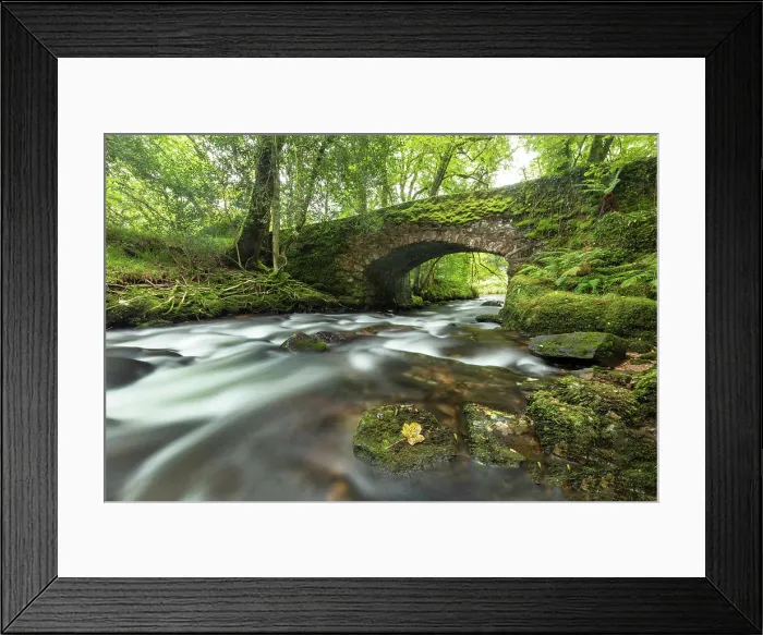 Framed Print : River Webburn and Buckland Bridge, near Buckland-in-the-Moor, Dartmoor National Park, Devon, England Framed Print : River Webburn and Buckland Bridge, near Buckland-in-the-Moor, Dartmoor National Park, Devon, England