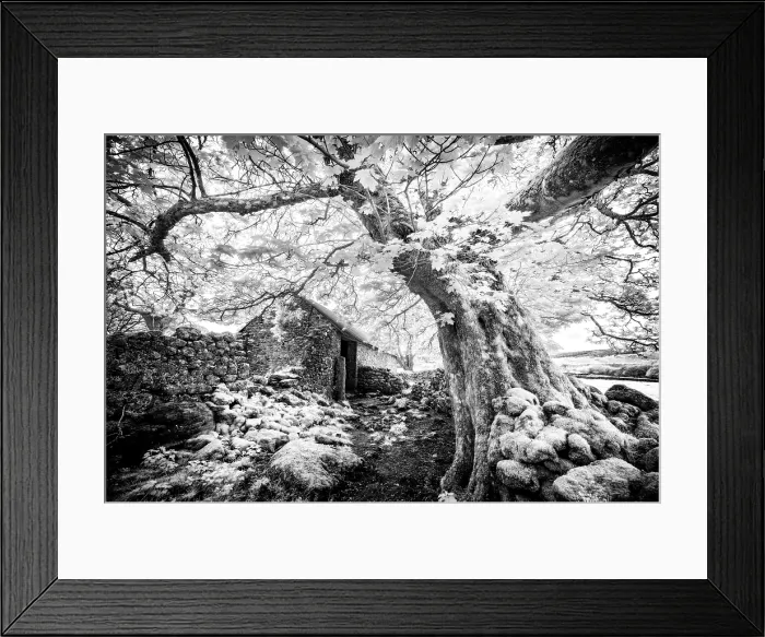 Framed Print : Infrared view of Emsworthy Barn, Emsworthy Mire, Dartmoor National Park, Devon, England