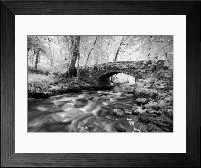 Framed Print : Infrared view of Buckland Bridge and the River Webburn, near Buckland-in-the-Moor, Dartmoor National Park, Devon, England Framed Print : Infrared view of Buckland Bridge and the River Webburn, near Buckland-in-the-Moor, Dartmoor National Park, Devon, England