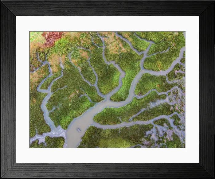 Framed Print : Aerial view of salt marshes on the River Camel near Wadebridge in Cornwall, England. Autumn (September) 2024
