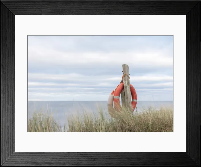 Framed Print : Lifebuoy rings hanging on a post in sand dunes, Alnmouth, Northumberland, England. Winter (March) 2025 Framed Print : Lifebuoy rings hanging on a post in sand dunes, Alnmouth, Northumberland, England. Winter (March) 2025