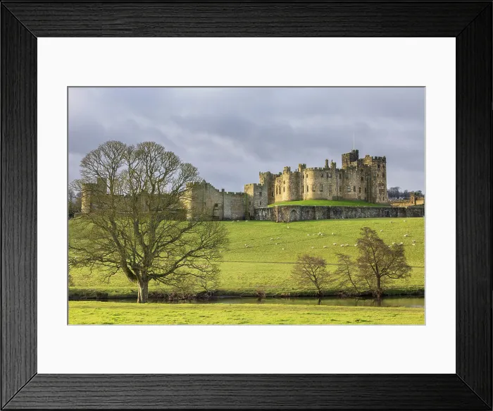 Framed Print : Alnwick Castle from the Pastures, Northumberland, England. Winter (March) 2025 Framed Print : Alnwick Castle from the Pastures, Northumberland, England. Winter (March) 2025