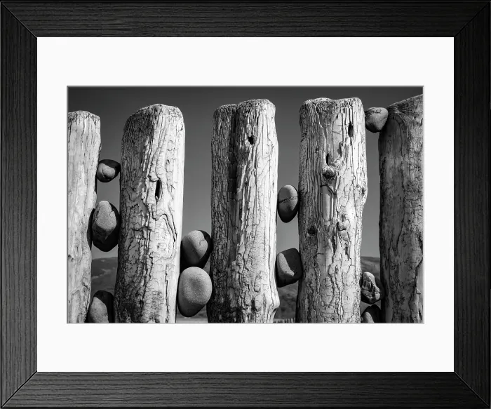 Framed Print : Pebbles wedged between weathered groynes on Bossington Beach, Exmoor National Park, Somerset, England. Spring (April) 2025 Framed Print : Pebbles wedged between weathered groynes on Bossington Beach, Exmoor National Park, Somerset, England. Spring (April) 2025