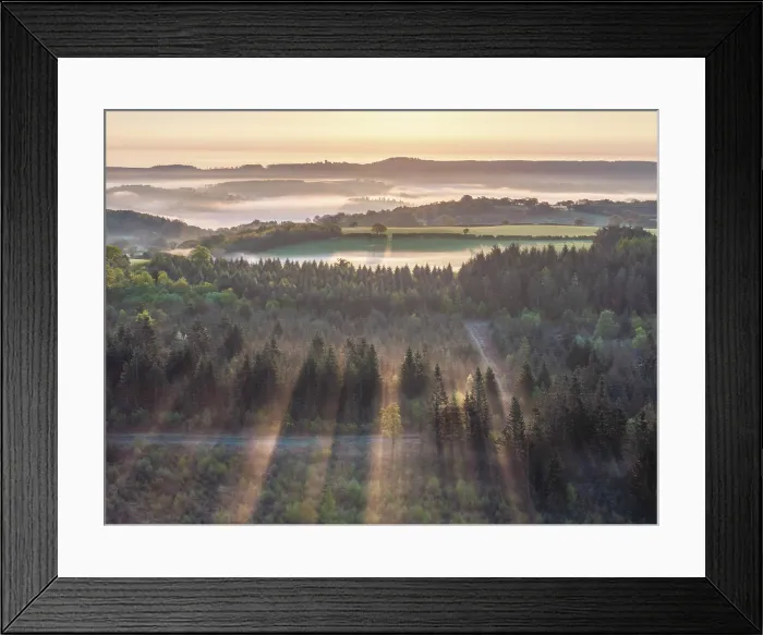 Framed Print : Misty sunrise above woodland and countryside in Dartmoor National Park, Devon, England. Spring (April) 2025 Framed Print : Misty sunrise above woodland and countryside in Dartmoor National Park, Devon, England. Spring (April) 2025
