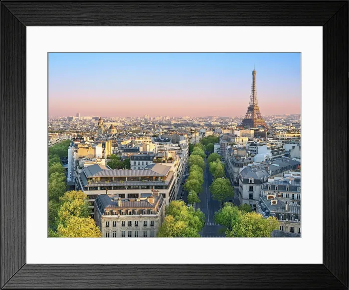 Framed Print : Eiffel Tower and skyline of Paris, Paris, France Framed Print : Eiffel Tower and skyline of Paris, Paris, France