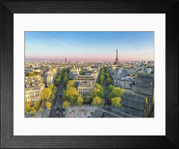 Framed Print : Eiffel Tower and skyline of Paris, Paris, France Framed Print : Eiffel Tower and skyline of Paris, Paris, France