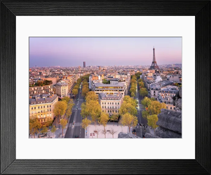 Framed Print : Eiffel Tower and skyline of Paris, Paris, France