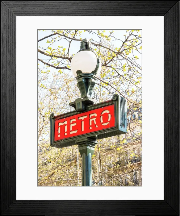 Framed Print : Paris, France Framed Print : Paris, France