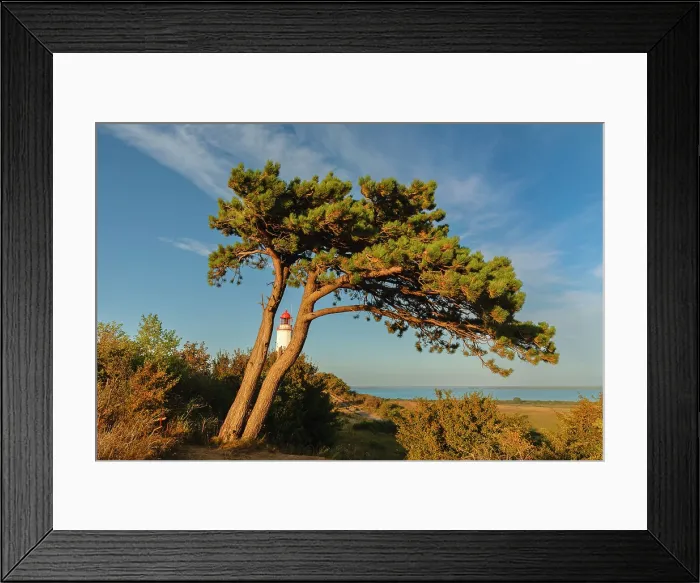 Framed Print : Dornbusch Lighthouse, Hiddensee Island, Mecklenburg-Western Pomerania, Germany Framed Print : Dornbusch Lighthouse, Hiddensee Island, Mecklenburg-Western Pomerania, Germany