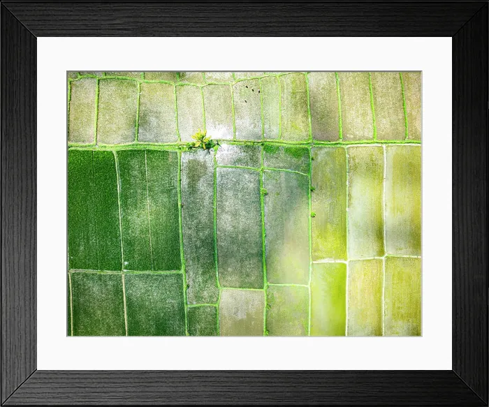 Framed Print : Overhead view of patterns of lush green terraced fields, Bali, Indonesia