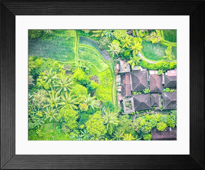Framed Print : Aerial view of a rural village and terraced fields surrounded by a tropical forest, Ubud, Indonesia Framed Print : Aerial view of a rural village and terraced fields surrounded by a tropical forest, Ubud, Indonesia