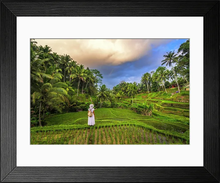Framed Print : Woman in white dress and sun hat standing in the middle of green rice terraces, Ubud, Bali, Indonesia Framed Print : Woman in white dress and sun hat standing in the middle of green rice terraces, Ubud, Bali, Indonesia