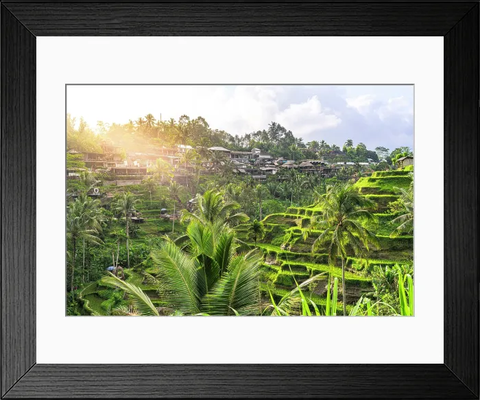 Framed Print : Sunrise over lush terraced fields and traditional rural village, Ubud, Bali, Indonesia