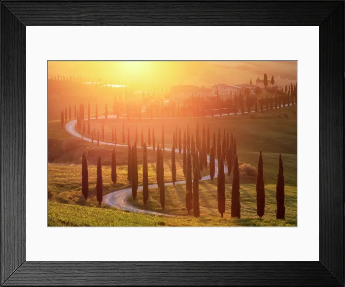Framed Print : Winding road lined with cypress trees leading to Podere Baccoleno at sunset, Asciano, Crete senesi, Tuscany, Italy Framed Print : Winding road lined with cypress trees leading to Podere Baccoleno at sunset, Asciano, Crete senesi, Tuscany, Italy
