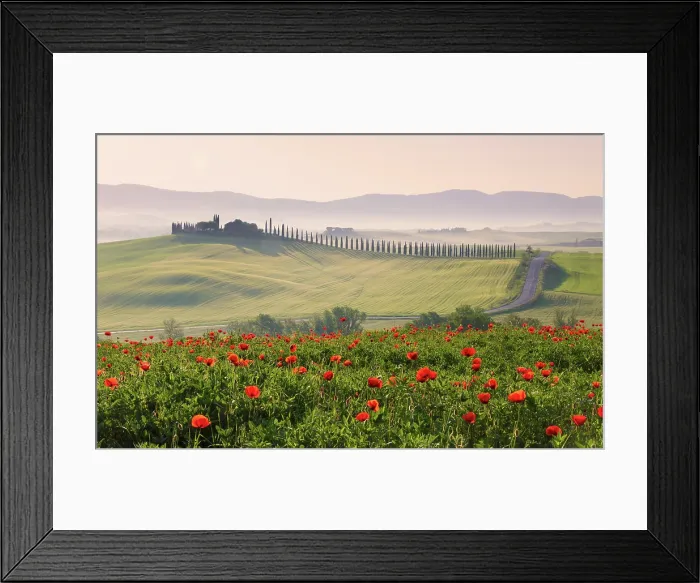 Framed Print : Poppy field with Poggio Covili and mist-filled Val d'Orcia at dawn, near San Quirico d'Orcia, Tuscany, Italy Framed Print : Poppy field with Poggio Covili and mist-filled Val d'Orcia at dawn, near San Quirico d'Orcia, Tuscany, Italy