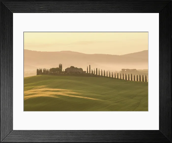 Framed Print : Poggio Covili and avenue of cypress trees at dawn, Val d'Orcia, near San Quirico d'Orcia, Tuscany, Italy