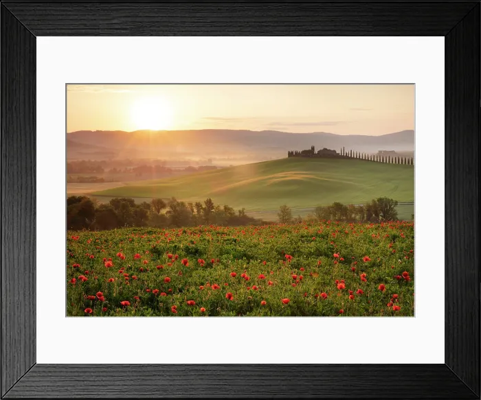 Framed Print : Poppy field with Poggio Covili and Val d'Orcia at dawn, near San Quirico d'Orcia, Tuscany, Italy Framed Print : Poppy field with Poggio Covili and Val d'Orcia at dawn, near San Quirico d'Orcia, Tuscany, Italy