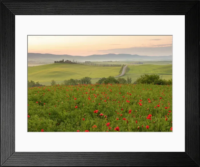 Framed Print : Poppy field with Poggio Covili and mist-filled Val d'Orcia at dawn, near San Quirico d'Orcia, Tuscany, Italy Framed Print : Poppy field with Poggio Covili and mist-filled Val d'Orcia at dawn, near San Quirico d'Orcia, Tuscany, Italy