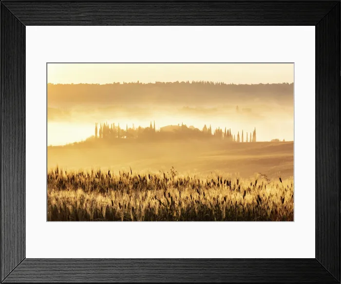 Framed Print : Misty golden landscape at dawn, Val d'Orcia, near San Quirico d'Orcia, Tuscany, Italy Framed Print : Misty golden landscape at dawn, Val d'Orcia, near San Quirico d'Orcia, Tuscany, Italy