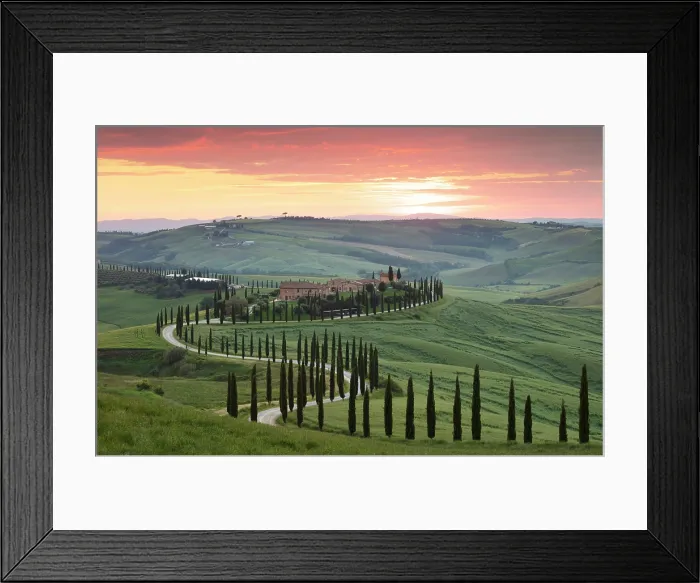 Framed Print : Winding road lined with cypress trees leading to Podere Baccoleno at sunset, Asciano, Crete senesi, Tuscany, Italy Framed Print : Winding road lined with cypress trees leading to Podere Baccoleno at sunset, Asciano, Crete senesi, Tuscany, Italy