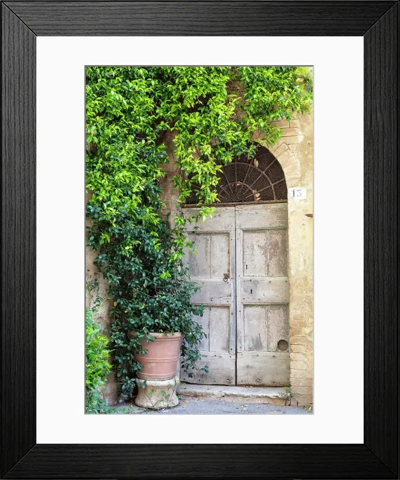 Framed Print : Old wooden door and climbing plant, Lucignano d'Asso, Province of Siena, Tuscany, Italy Framed Print : Old wooden door and climbing plant, Lucignano d'Asso, Province of Siena, Tuscany, Italy