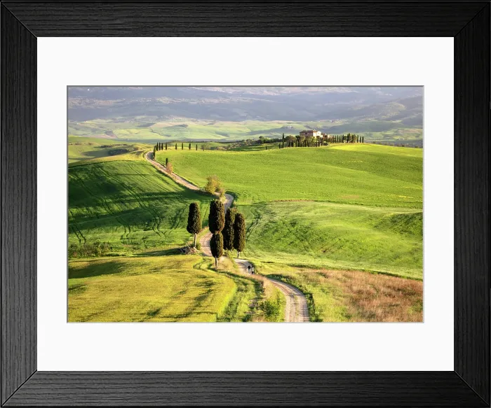 Framed Print : Gravel track leading to Terrapille Farmhouse (featured in Gladiator movie), Val d'Orcia, near Pienza, Tuscany, Italy Framed Print : Gravel track leading to Terrapille Farmhouse (featured in Gladiator movie), Val d'Orcia, near Pienza, Tuscany, Italy