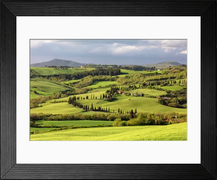Framed Print : Green fields and cypress trees, near Lucignano d'Asso, Province of Siena, Tuscany, Italy Framed Print : Green fields and cypress trees, near Lucignano d'Asso, Province of Siena, Tuscany, Italy