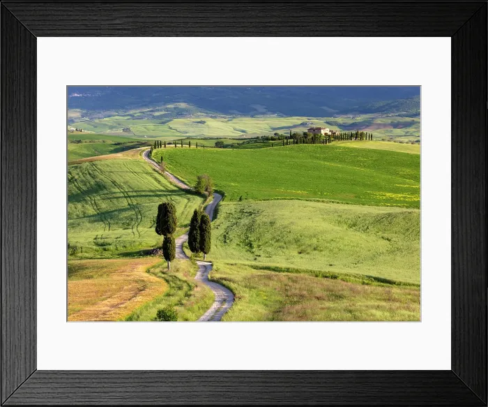Framed Print : Gravel track leading to Terrapille Farmhouse (featured in Gladiator movie), Val d'Orcia, near Pienza, Tuscany, Italy Framed Print : Gravel track leading to Terrapille Farmhouse (featured in Gladiator movie), Val d'Orcia, near Pienza, Tuscany, Italy