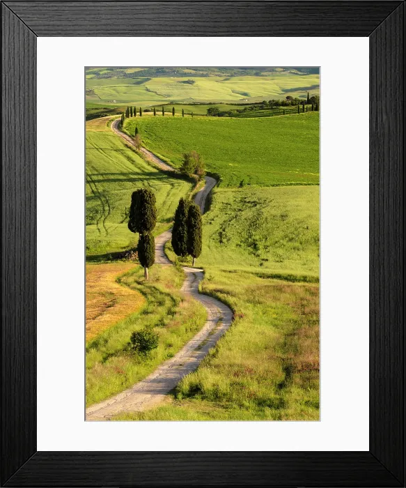 Framed Print : Gravel track and cypress trees, Val d'Orcia, near Pienza, Tuscany, Italy Framed Print : Gravel track and cypress trees, Val d'Orcia, near Pienza, Tuscany, Italy