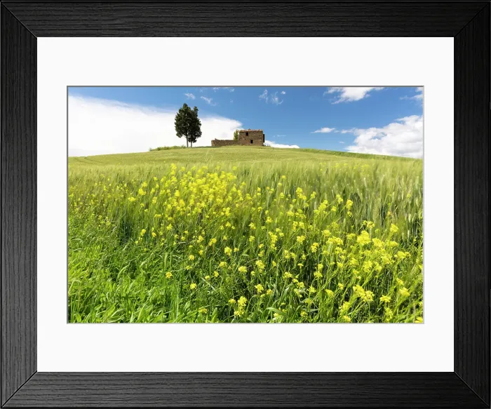 Framed Print : Derelict barn on hilltop near Pienza, Val d'Orcia, Tuscany, Italy Framed Print : Derelict barn on hilltop near Pienza, Val d'Orcia, Tuscany, Italy