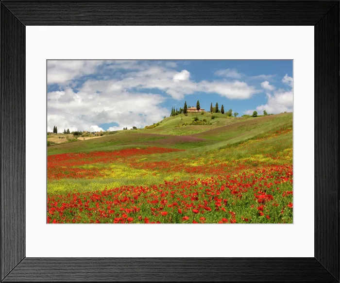 Framed Print : Poppy fields and farmhouse, near San Quirico d'Orcia, Tuscany, Italy Framed Print : Poppy fields and farmhouse, near San Quirico d'Orcia, Tuscany, Italy