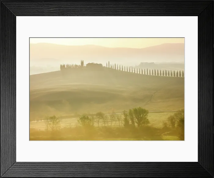 Framed Print : Cypress trees and Poggio Covili in the mist at dawn, Val d'Orcia, near San Quirico d'Orcia, Tuscany, Italy Framed Print : Cypress trees and Poggio Covili in the mist at dawn, Val d'Orcia, near San Quirico d'Orcia, Tuscany, Italy